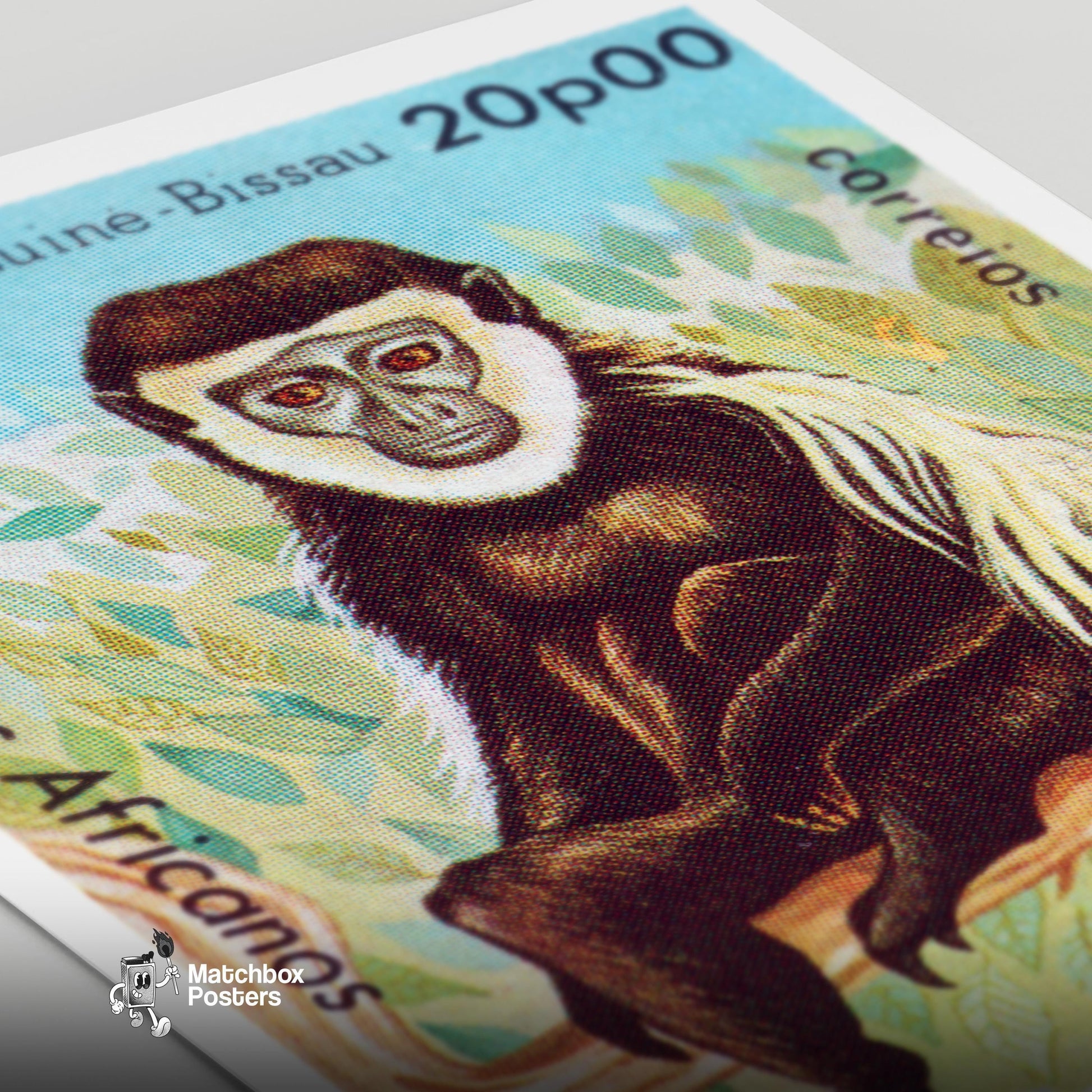 Colobus Monkey - vintage matchbox label print - close-up detail