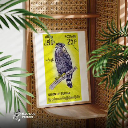 Black Hawk - vintage matchbox label print - office wall