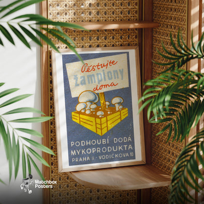 Mushrooms Growing - vintage matchbox label print - office wall