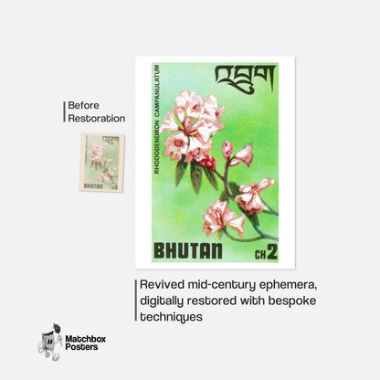 Pink Rhododendron - vintage matchbox label print - framed wall art preview
