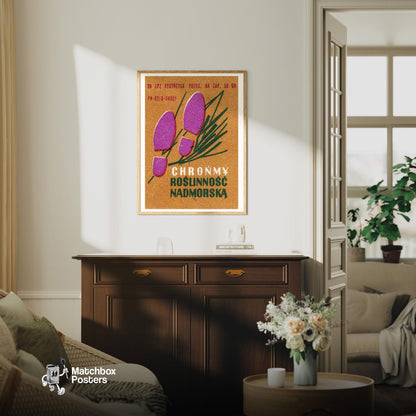 Protect Coastal Environment - vintage matchbox label print - living room mockup