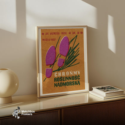 Protect Coastal Environment - vintage matchbox label print - size comparison