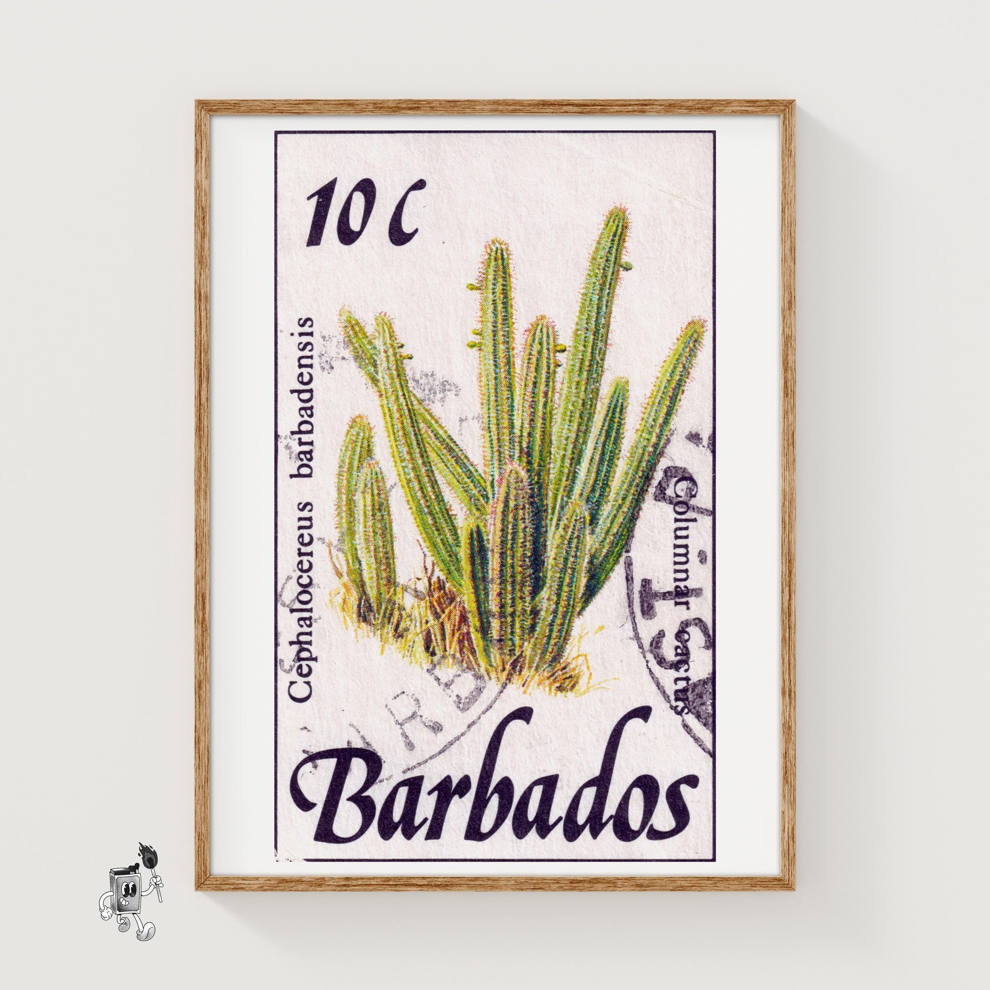 Cephalocereus Cactus - vintage matchbox label print