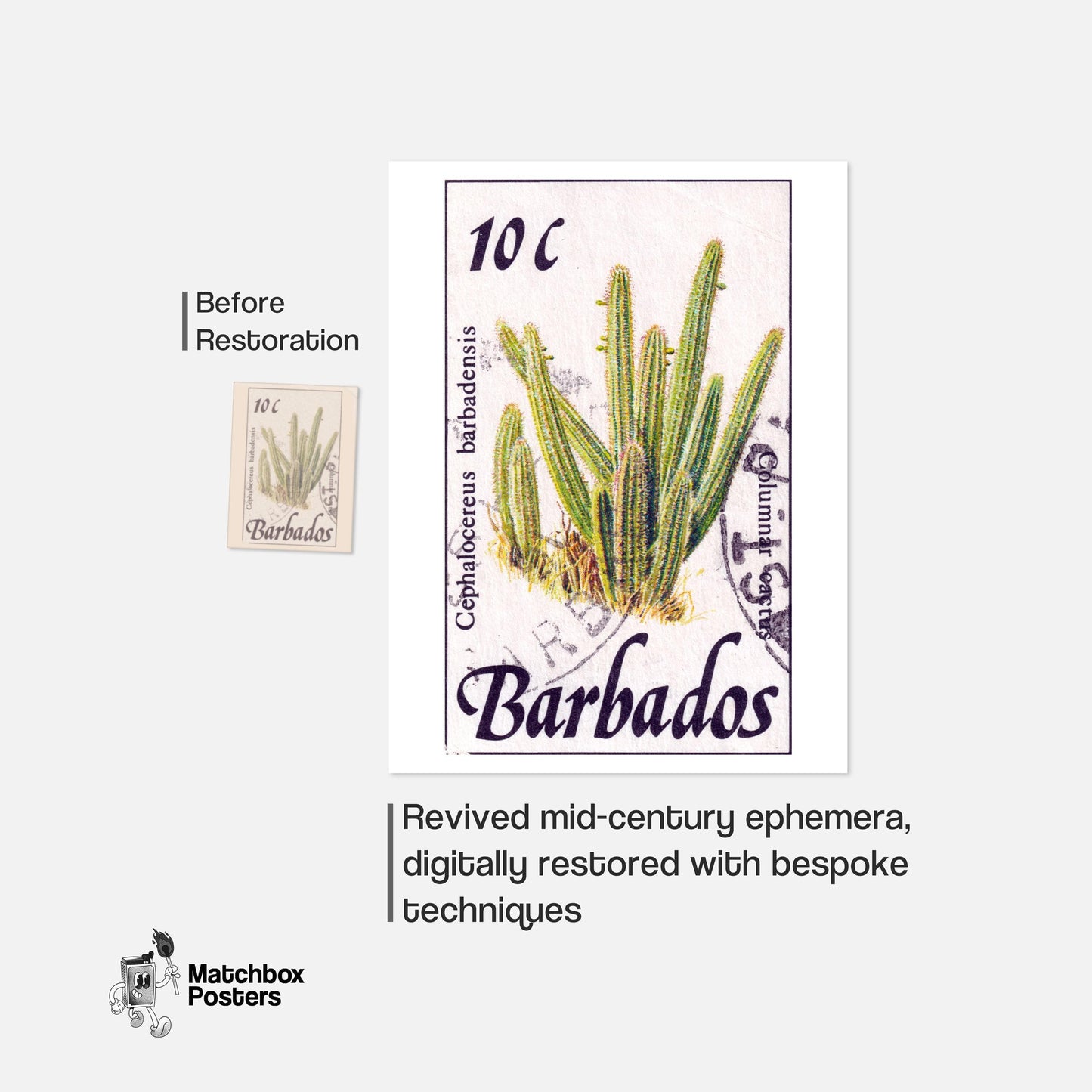 Cephalocereus Cactus - vintage matchbox label print - framed wall art preview