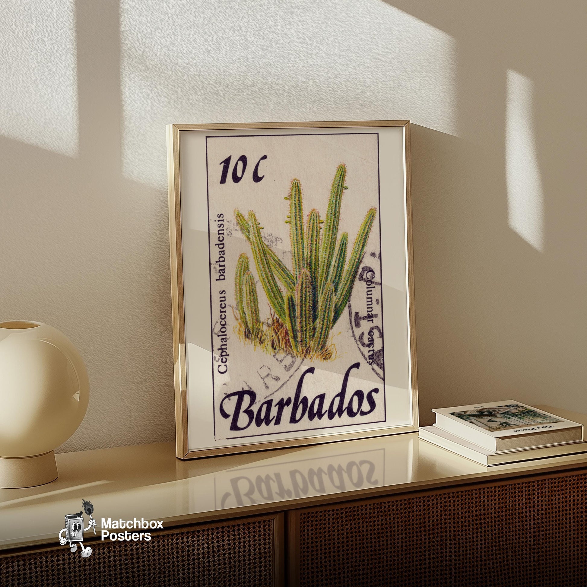 Cephalocereus Cactus - vintage matchbox label print - size comparison
