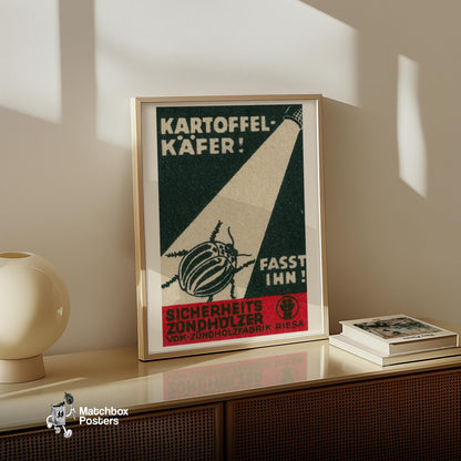 Illustration Of A Beetle Under A Spotlight - vintage matchbox label print - size comparison