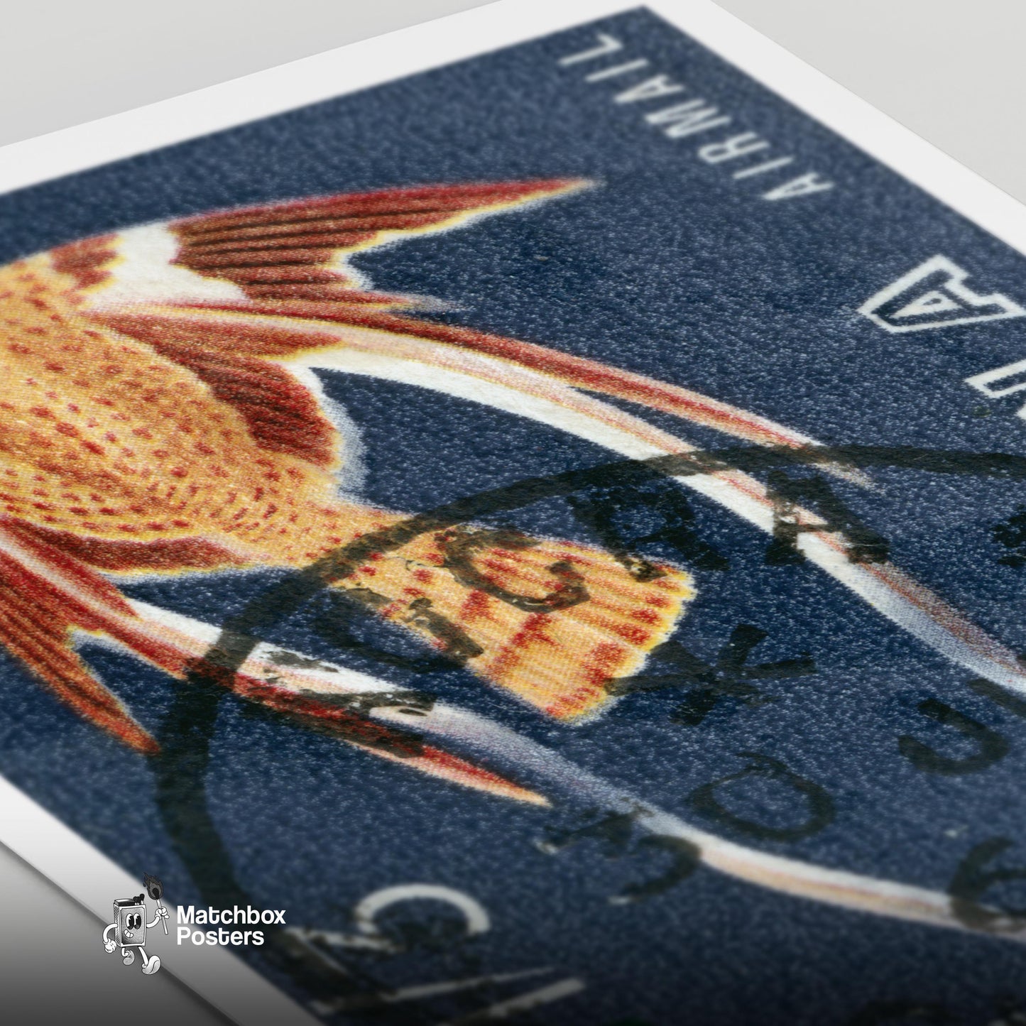 Pennant Winged Nightjar - vintage matchbox label print - close-up detail