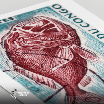 Deep Sea Fish - vintage matchbox label print - close-up detail