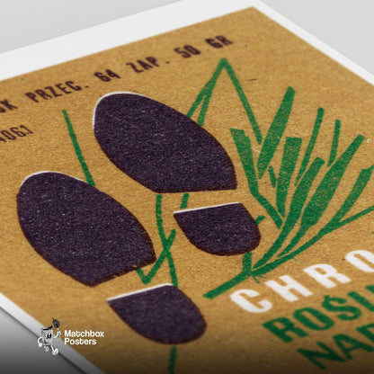 Protect Coastal Vegetation - vintage matchbox label print - close-up detail