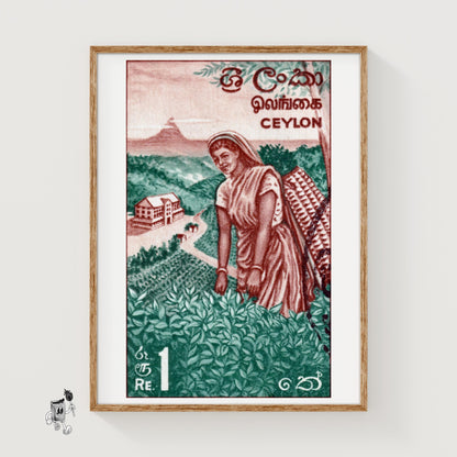 Tea Picker - vintage matchbox label print