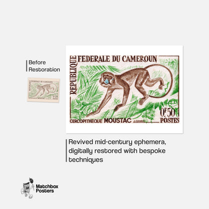Cercopitheque Moustac Monkey - vintage matchbox label print - framed wall art preview