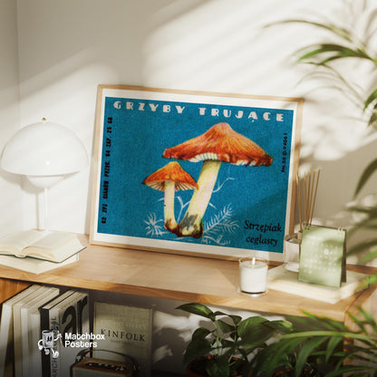 Two Red-Capped Mushrooms - vintage matchbox label print - office wall