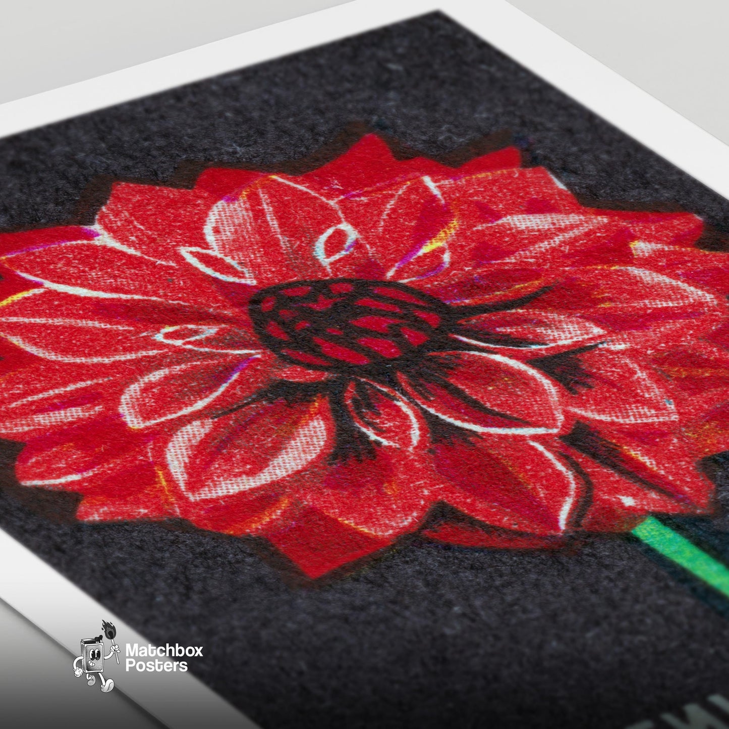 Red Dahlia - vintage matchbox label print - close-up detail
