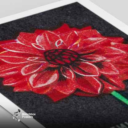 Red Dahlia - vintage matchbox label print - close-up detail
