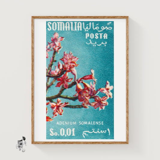 Adenium Flower - vintage matchbox label print