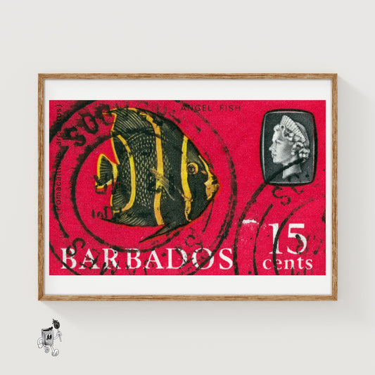 Angel Fish - vintage matchbox label print