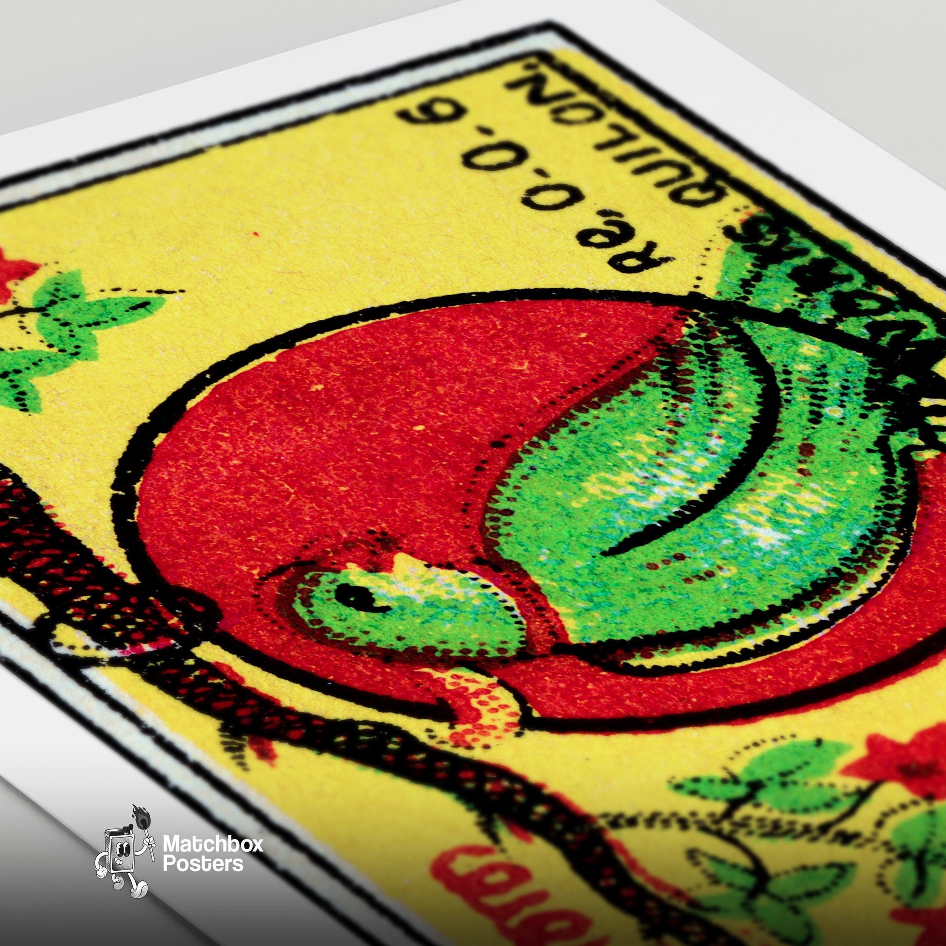 Jamaica Parrot - vintage matchbox label print - close-up detail