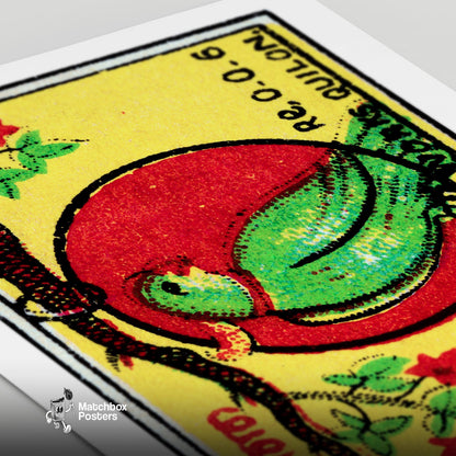 Jamaica Parrot - vintage matchbox label print - close-up detail