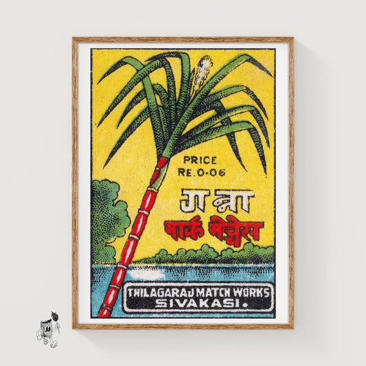 Sugarcane - vintage matchbox label print