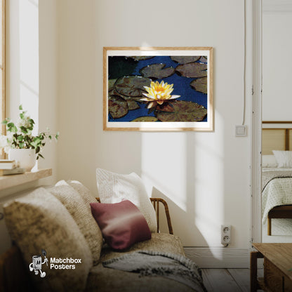 Yellow Water Lily - vintage matchbox label print - living room mockup