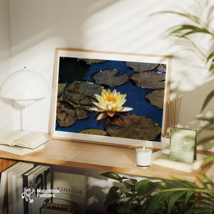 Yellow Water Lily - vintage matchbox label print - office wall