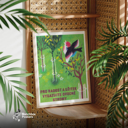 Plant Fruit Trees and Benefit - vintage matchbox label print - office wall