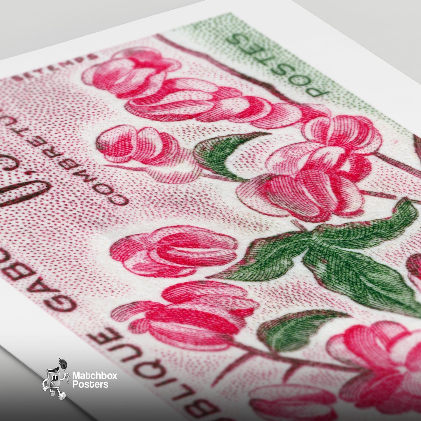 Pink Combretum Flowers Republique Gabonaise - vintage matchbox label print - close-up detail