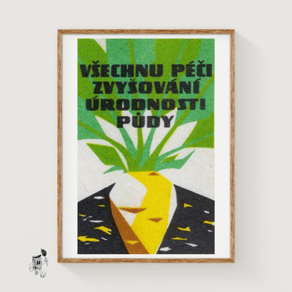 Turnip - vintage matchbox label print