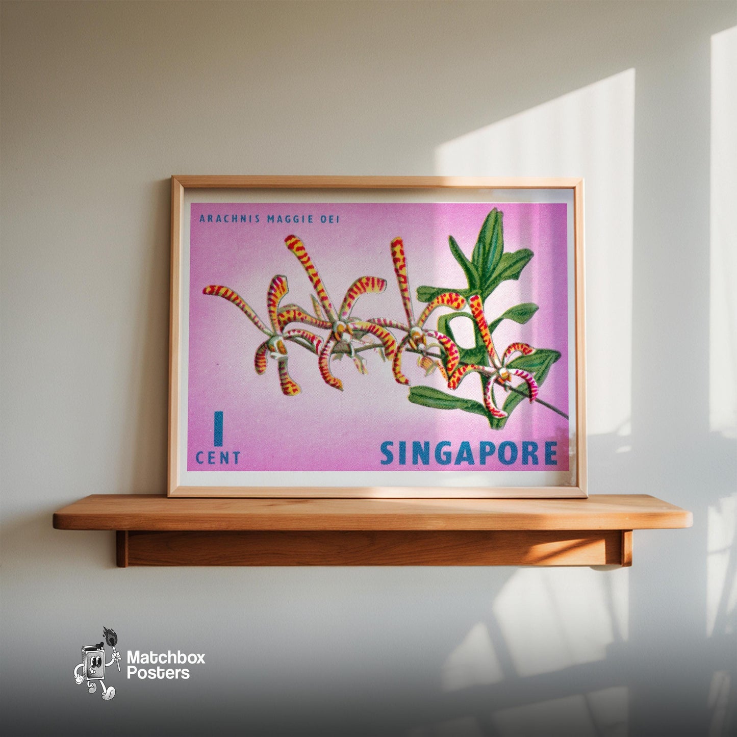 Arachnis Maggie Oei Orchid - vintage matchbox label print - size comparison