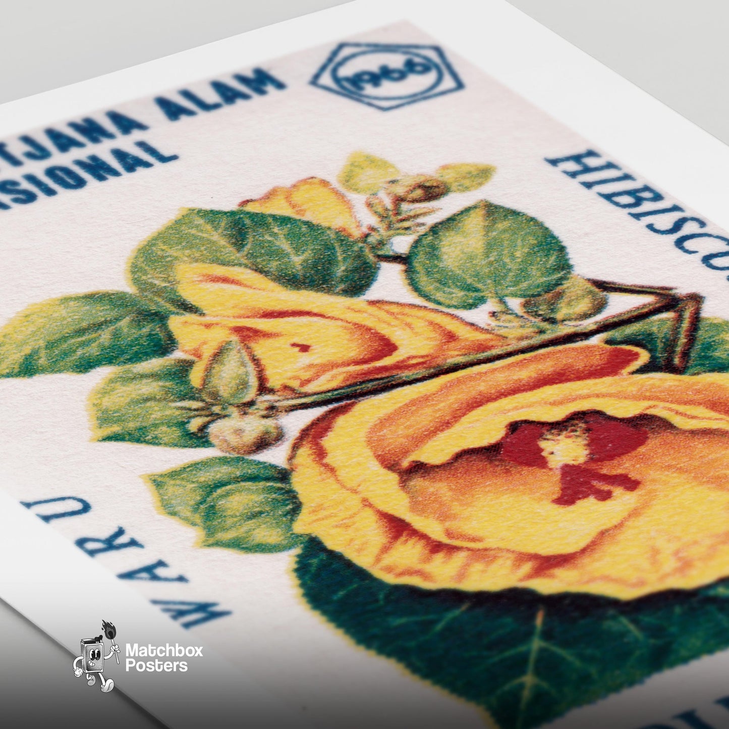 Yellow Hibiscus Flower - vintage matchbox label print - close-up detail