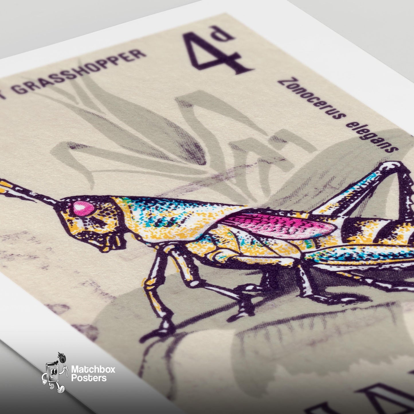 Grasshopper - vintage matchbox label print - close-up detail
