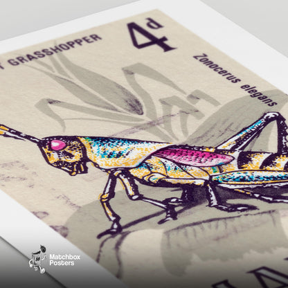 Grasshopper - vintage matchbox label print - close-up detail