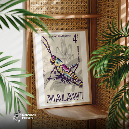 Grasshopper - vintage matchbox label print - office wall