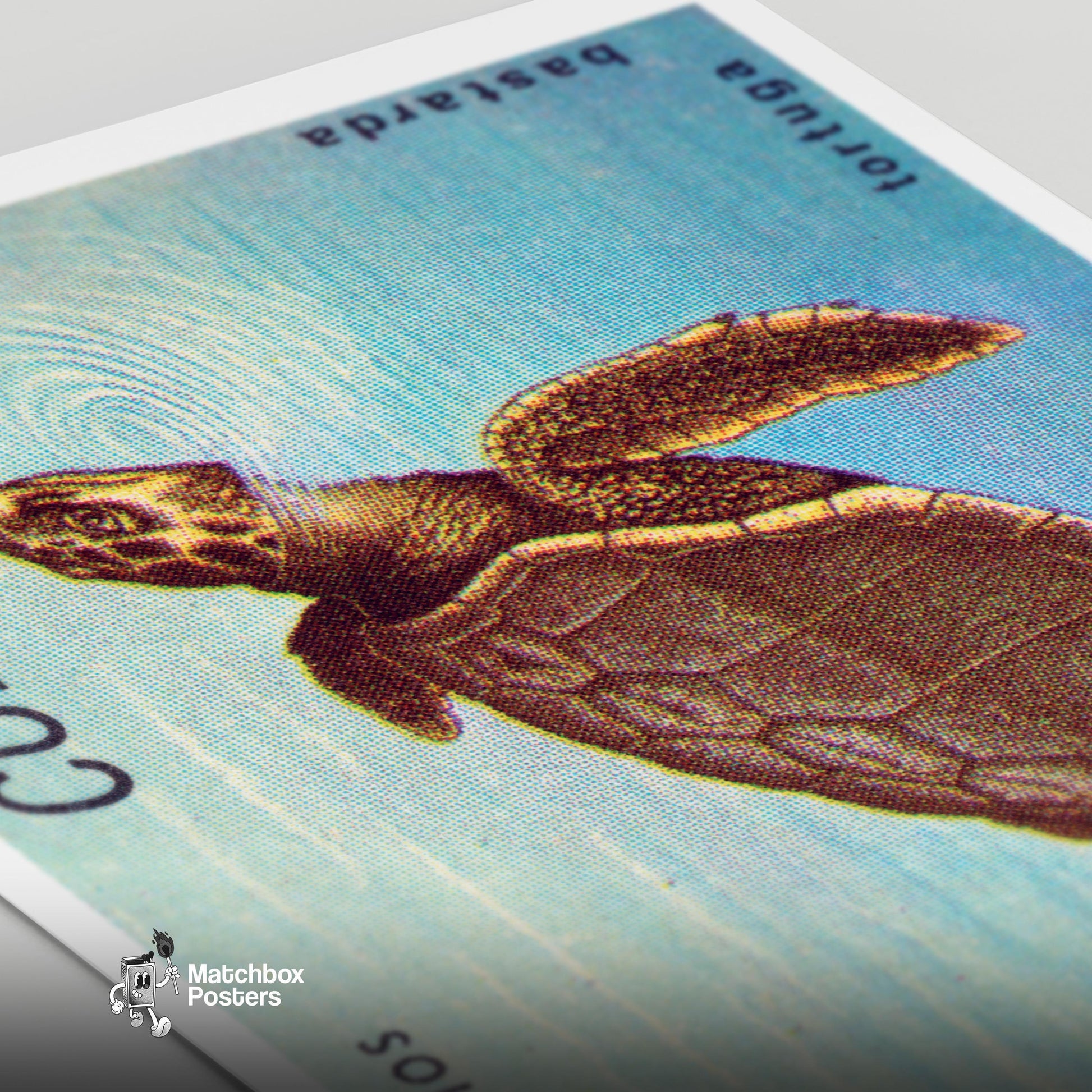 Sea Turtle - vintage matchbox label print - close-up detail