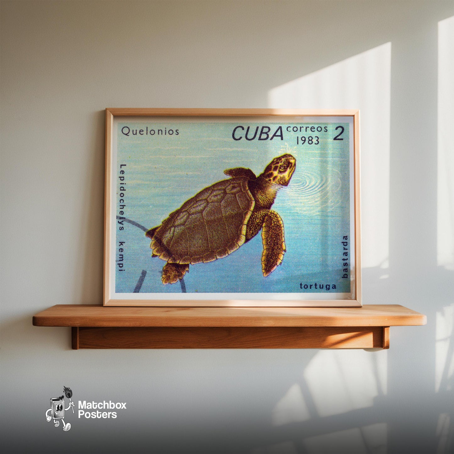 Sea Turtle - vintage matchbox label print - size comparison