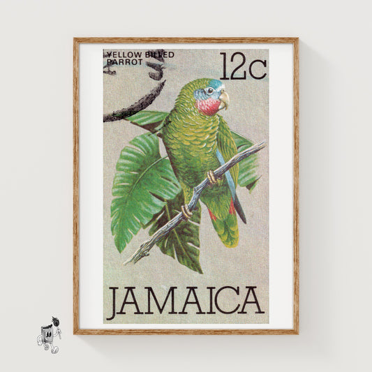 Green Parrot - vintage matchbox label print