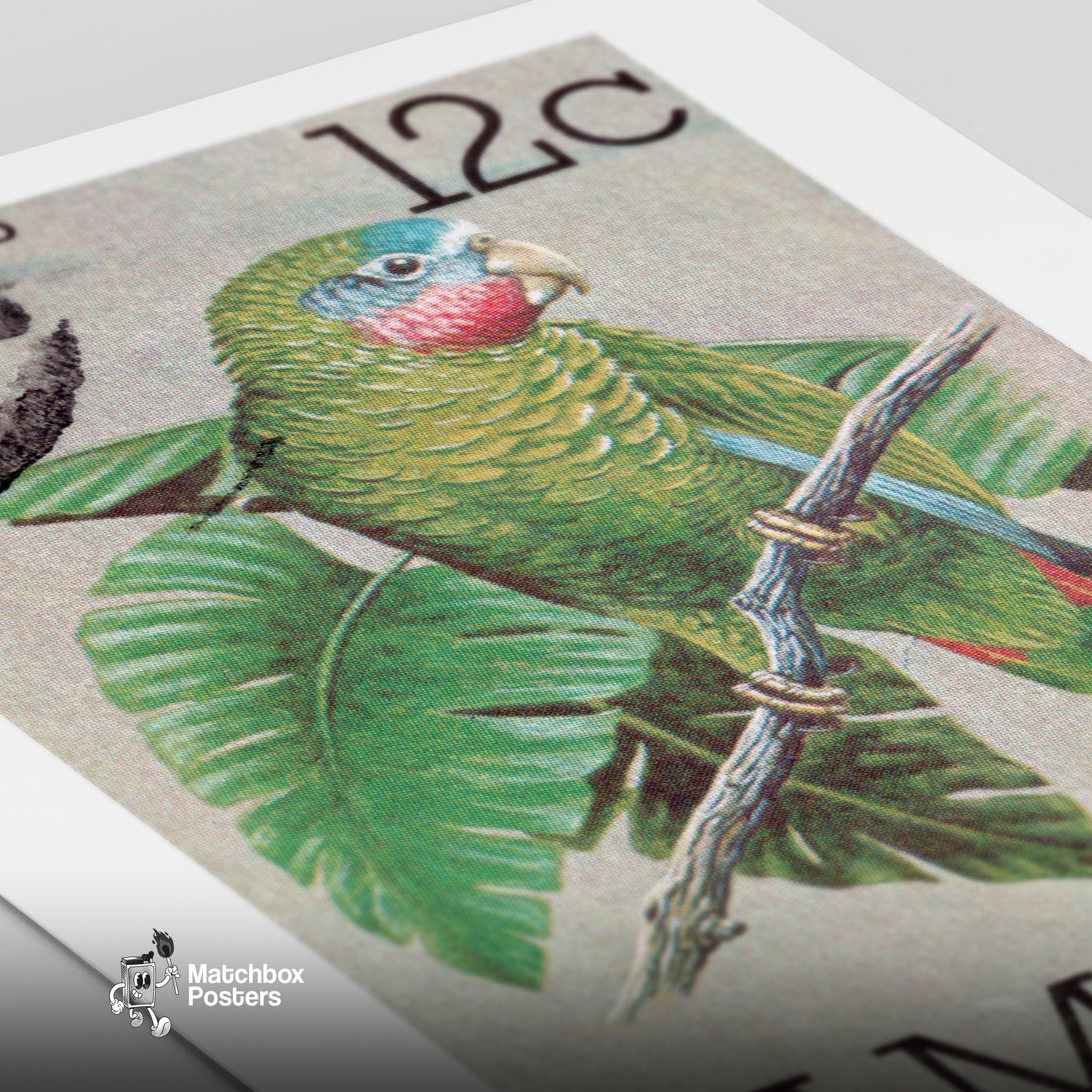 Green Parrot - vintage matchbox label print - close-up detail