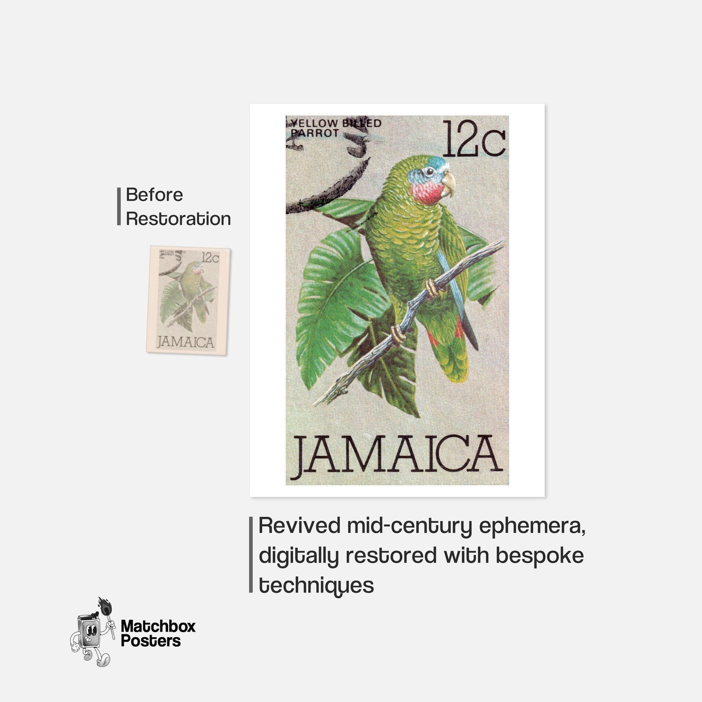 Green Parrot - vintage matchbox label print - framed wall art preview
