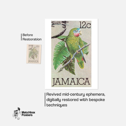 Green Parrot - vintage matchbox label print - framed wall art preview