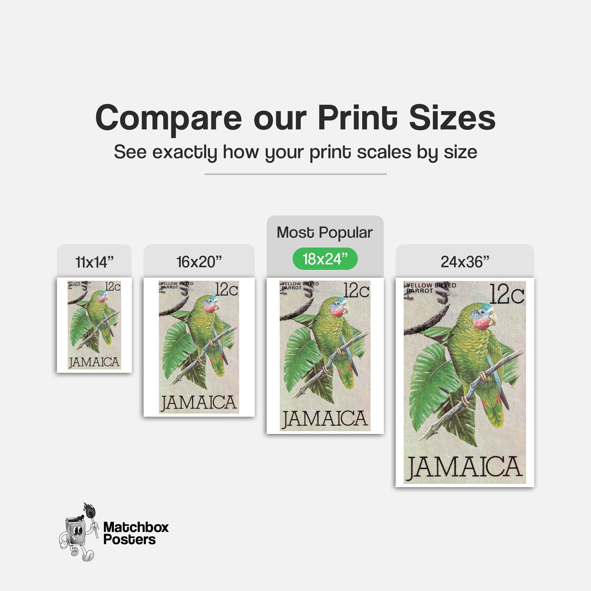 Green Parrot - vintage matchbox label print - gallery wall preview
