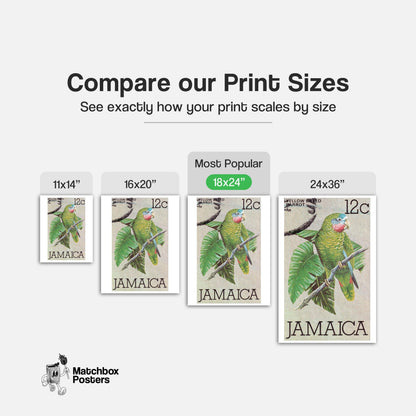 Green Parrot - vintage matchbox label print - gallery wall preview