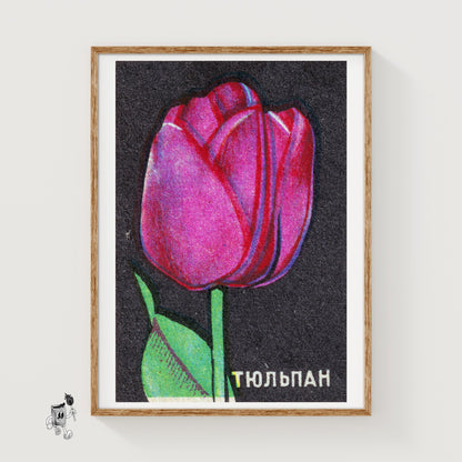 Pink Tulip - vintage matchbox label print