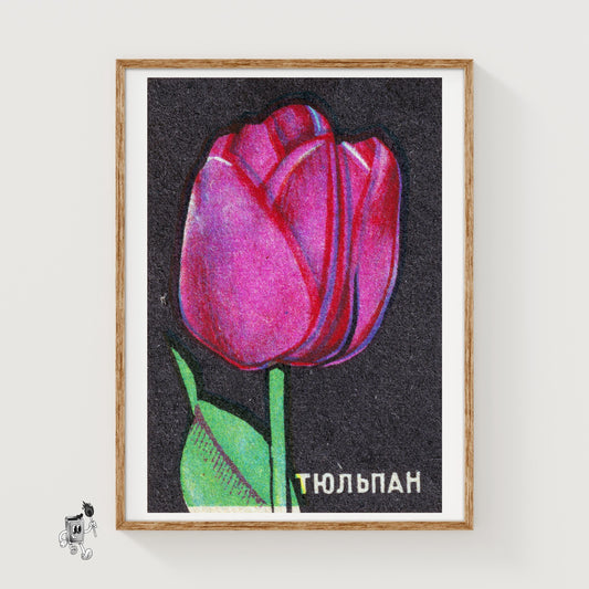 Pink Tulip - vintage matchbox label print