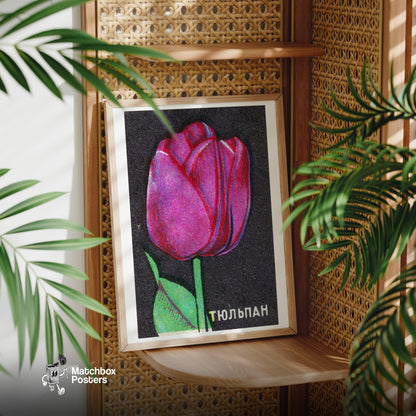 Pink Tulip - vintage matchbox label print - office wall