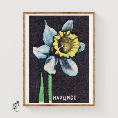 Illustration Of A Daffodil
