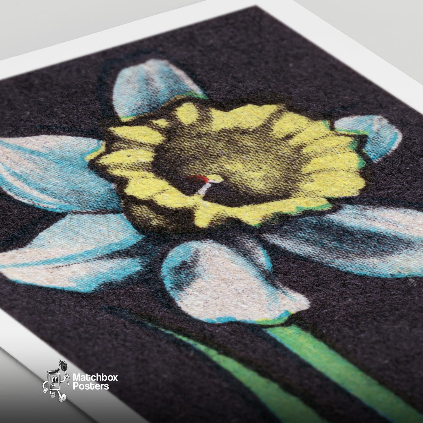 Illustration Of A Daffodil - vintage matchbox label print - close-up detail
