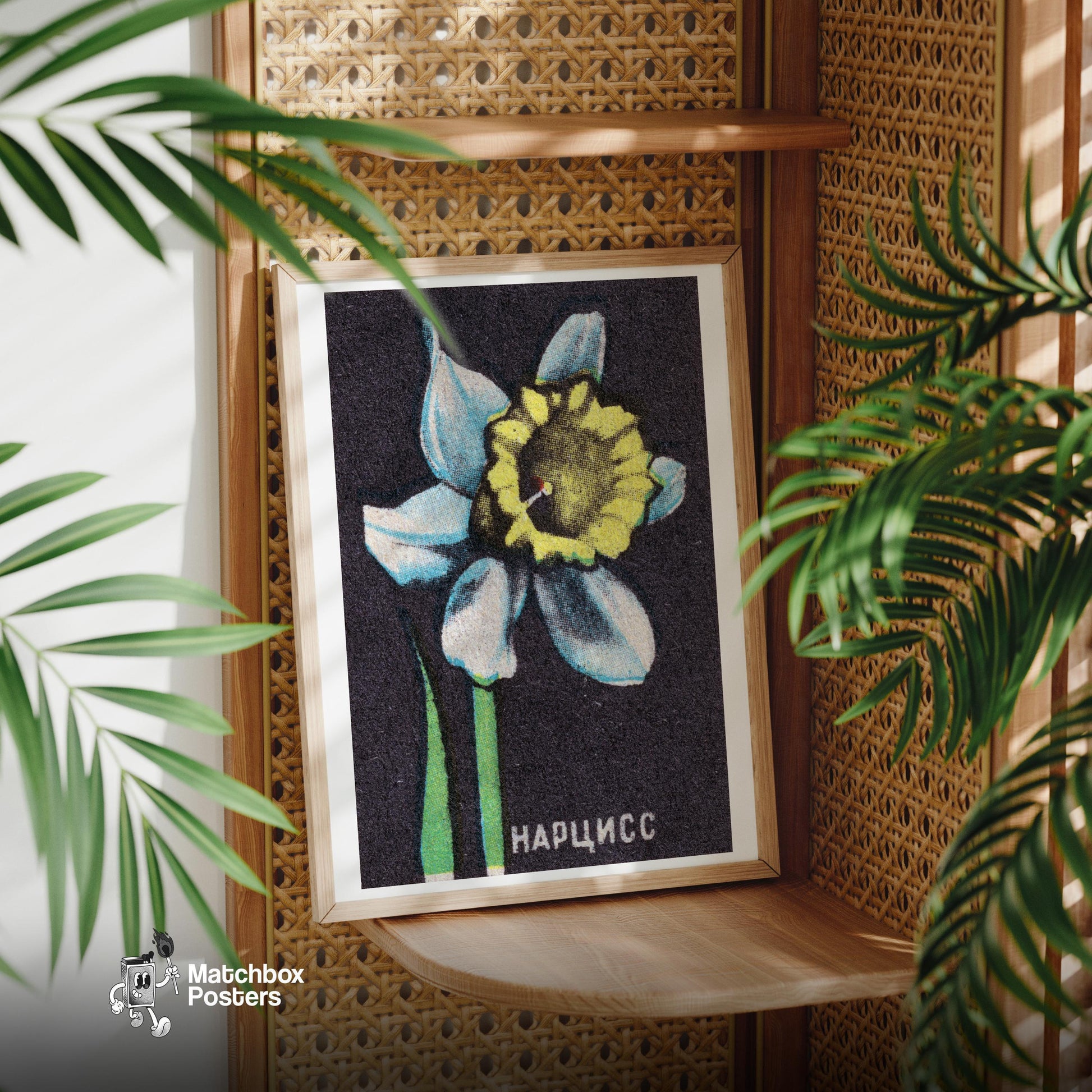 Illustration Of A Daffodil - vintage matchbox label print - office wall
