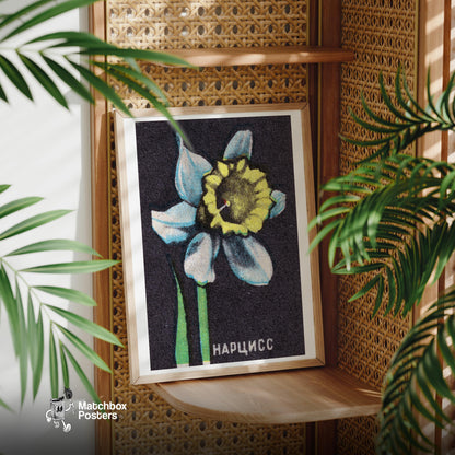 Illustration Of A Daffodil - vintage matchbox label print - office wall