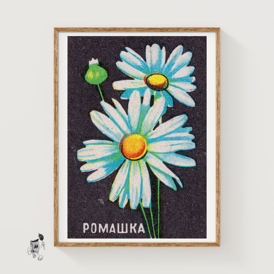 Daisy Flower - vintage matchbox label print