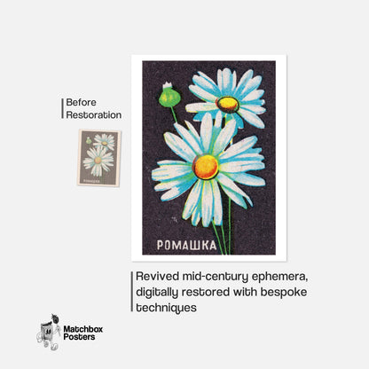 Daisy Flower - vintage matchbox label print - framed wall art preview